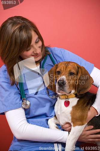 Image of Vet Checkup