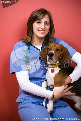 Image of Veterinarian With a Beagle