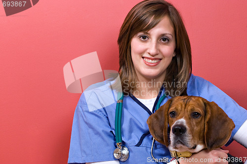 Image of Veterinarian With a Beagle