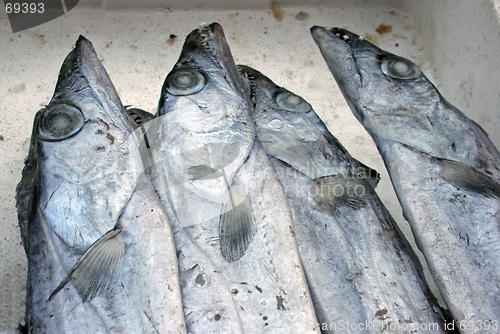 Image of Fish heads