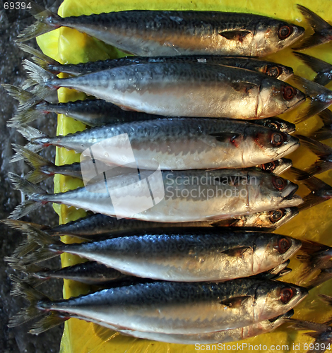 Image of Fish market