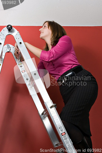 Image of Climbing The Corporate Ladder