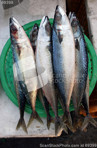 Image of Fish market