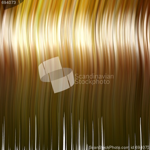 Image of hair texture