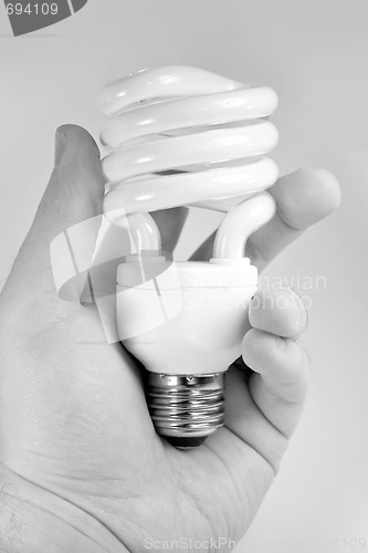 Image of Compact Fluorescent Light Bulb