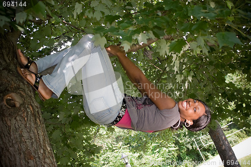 Image of Hanging from a Tree