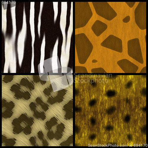 Image of Animal Print Collection