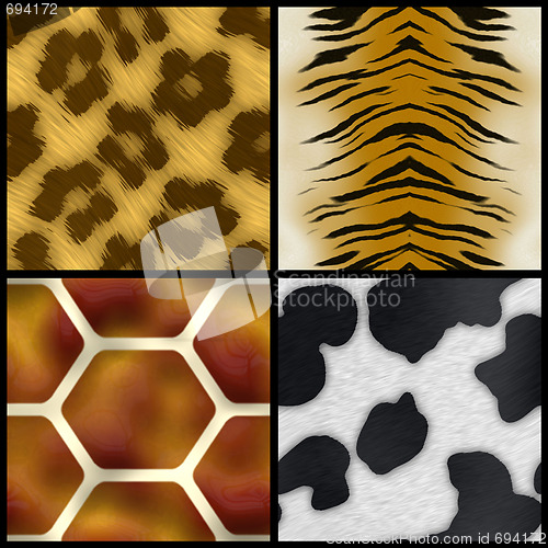 Image of Animal Print Collection