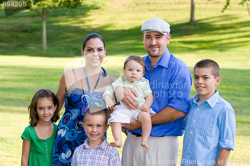 Image of A Large Family