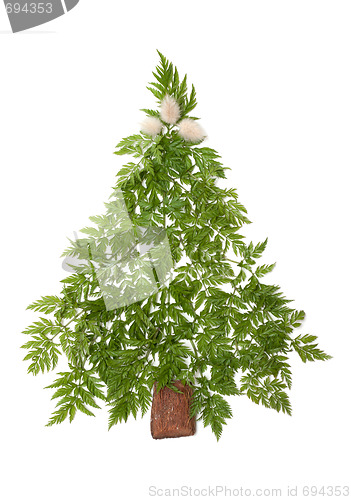 Image of Decorative cristmas spruce