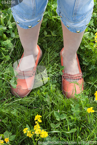 Image of Legs in orange loafer on green herb