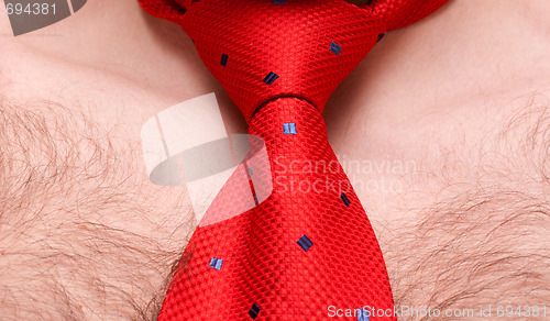 Image of Red tie on male bosom