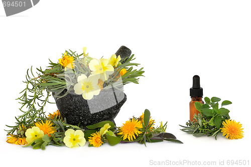 Image of  Wild Flower and Herb Therapy