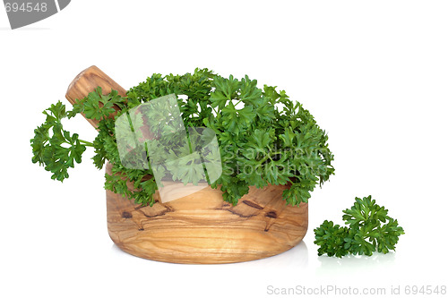 Image of Parsley Herb