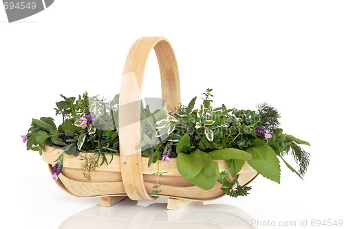 Image of Fresh Herbs 