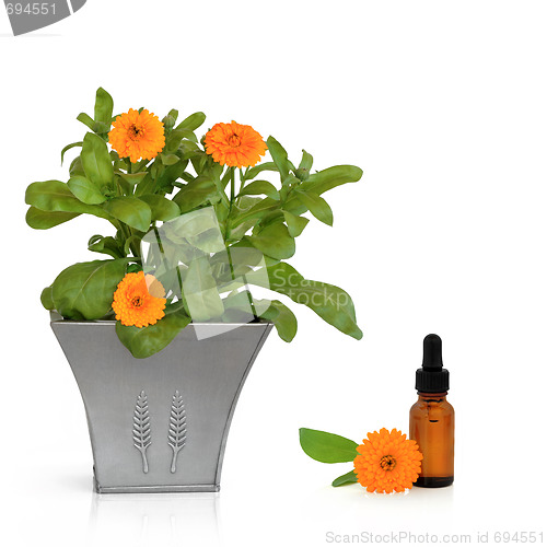 Image of Calendula Flowers and Essence