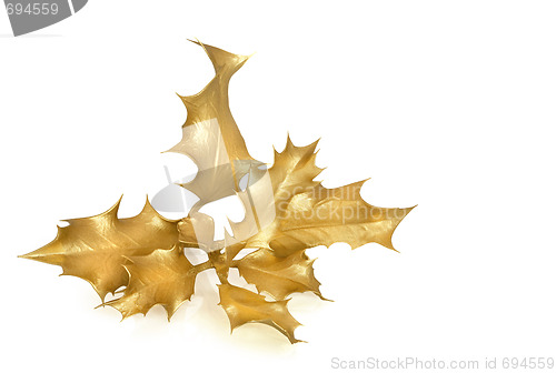 Image of Golden Holly