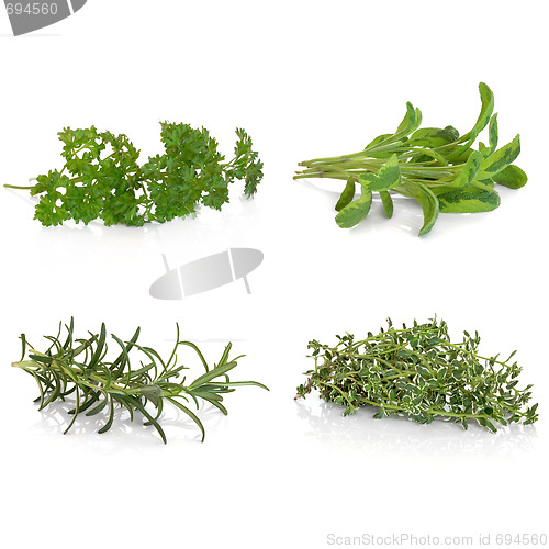 Image of Parsley Sage Rosemary and Thyme Herbs