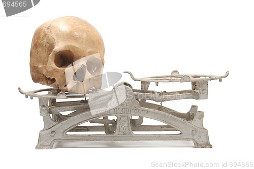 Image of Heavy skull