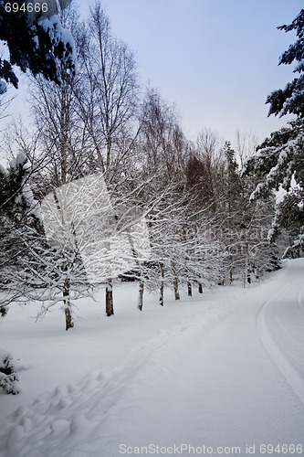 Image of Winter road