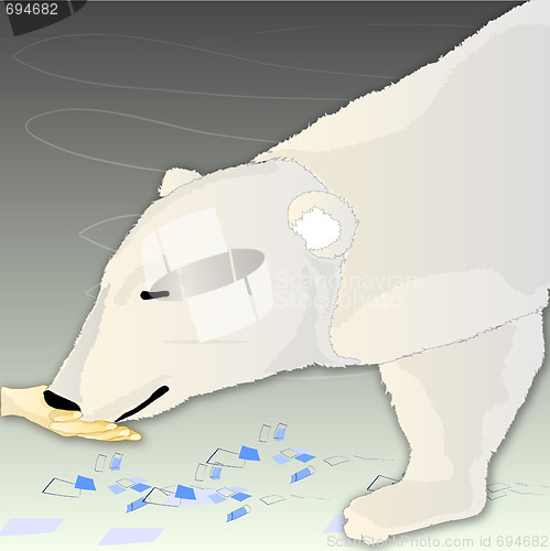 Image of white bear