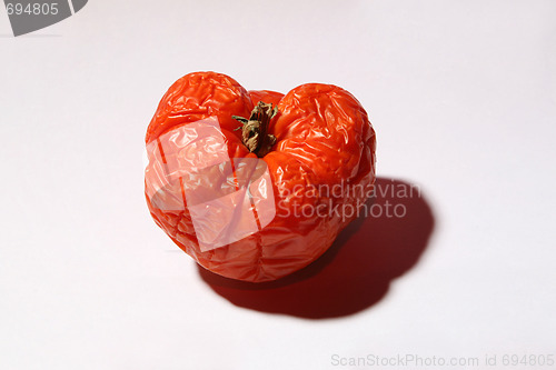 Image of Sered tomato