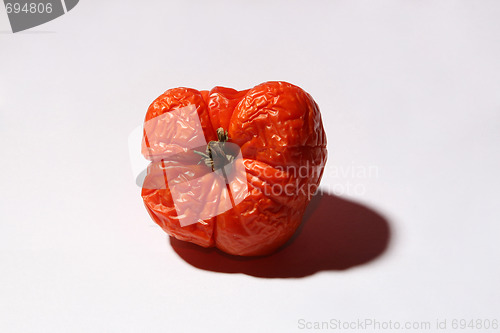 Image of Sered tomato