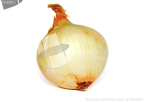 Image of Yellow onion isolated on white background