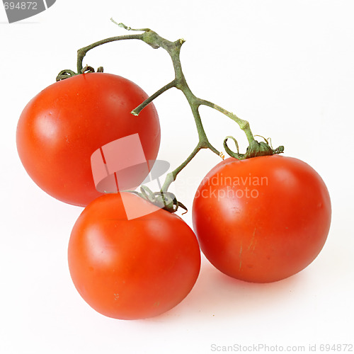 Image of Red tomatoes