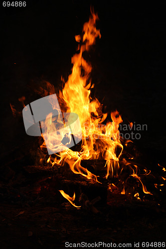 Image of Fire on the picnic