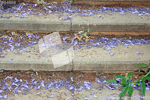 Image of Spring stairs 