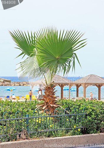 Image of Sea landscape