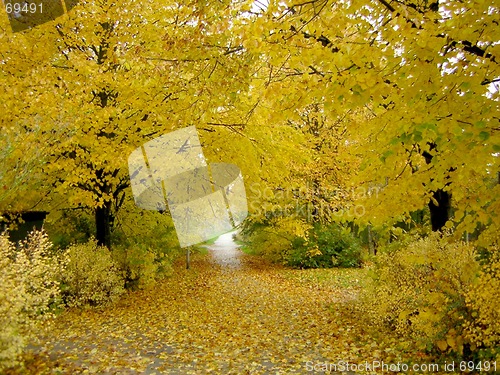 Image of autumn colours