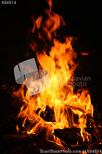 Image of Fire on the picnic