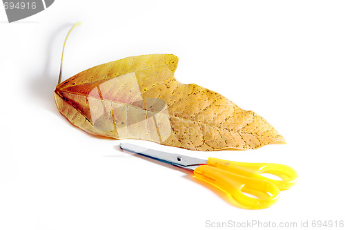 Image of The concept of handmade work