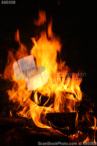 Image of Fire on the picnic