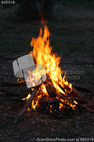 Image of Fire on the picnic