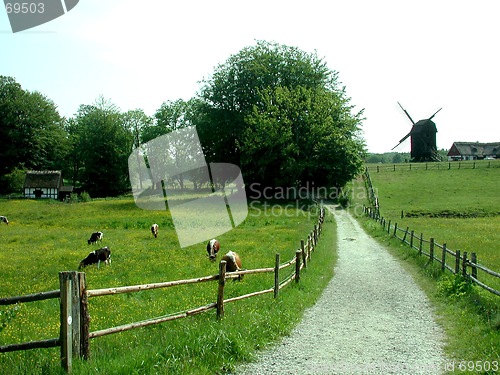 Image of windmill in a field