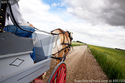 Image of Horse and Cart