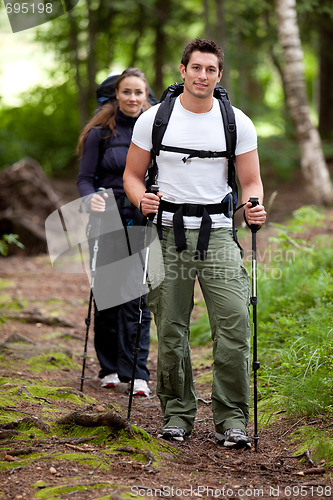 Image of Hike Forest