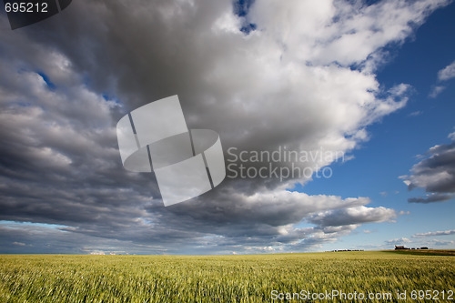 Image of Prairie Landscape