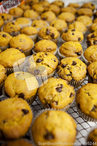 Image of Fresh Muffins