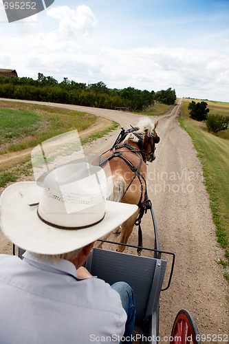 Image of Horse and Buggy