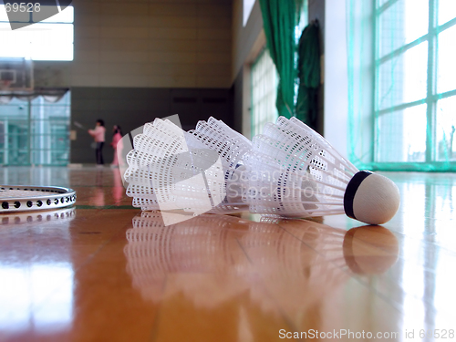 Image of Badminton indoor