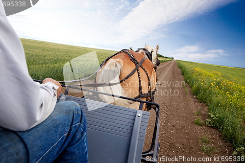 Image of Horse and Cart