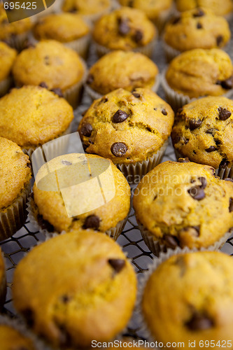 Image of Pumpkin Muffin