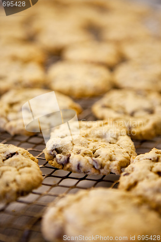 Image of Fresh Cookies