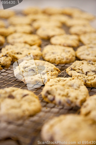 Image of Chocolate Chip Cookie