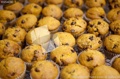 Image of Pumpkin Muffin