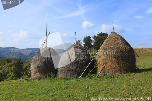 Image of Hayricks in a mountainous area